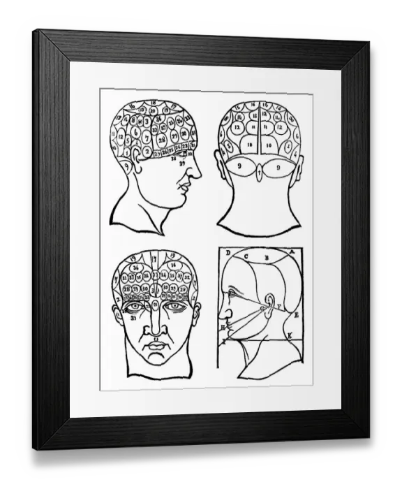 Framed Print : Physiognomony and craniology, 19th century