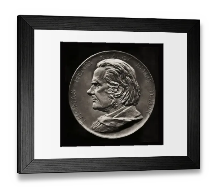Framed Print : Medallion portrait of Thomas Henry Huxley Framed Print : Medallion portrait of Thomas Henry Huxley