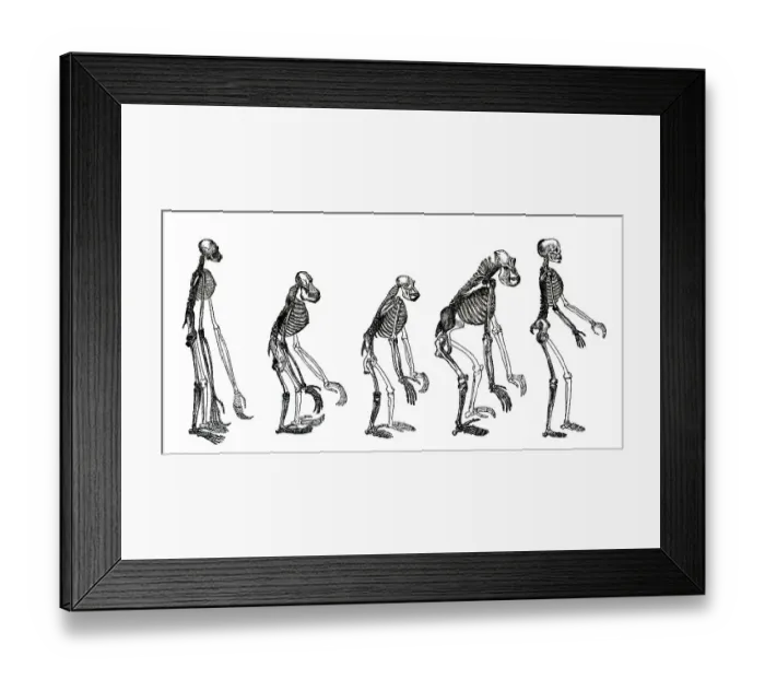 Framed Print : Frontispiece to the book „Evidence as to Man's Place in Nature Framed Print : Frontispiece to the book „Evidence as to Man's Place in Nature