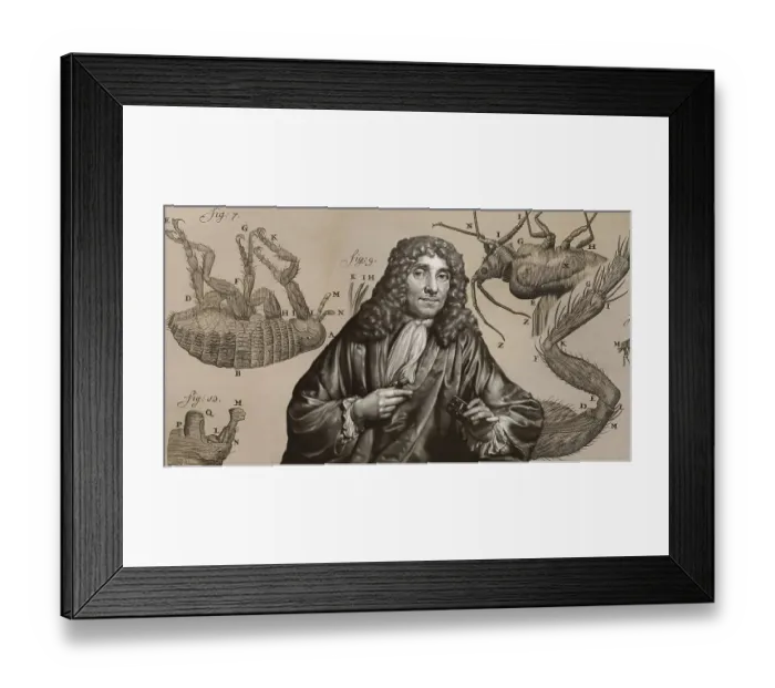 Framed Print : Antonie Philips van Leeuwenhoek Framed Print : Antonie Philips van Leeuwenhoek