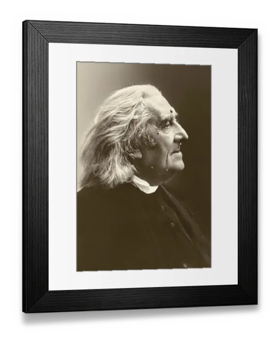 Framed Print : Portrait of Franz Liszt, 1811-1886 Framed Print : Portrait of Franz Liszt, 1811-1886