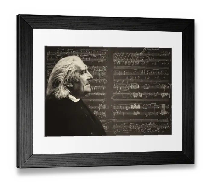 Framed Print : Portrait of Franz Liszt, 1811-1886