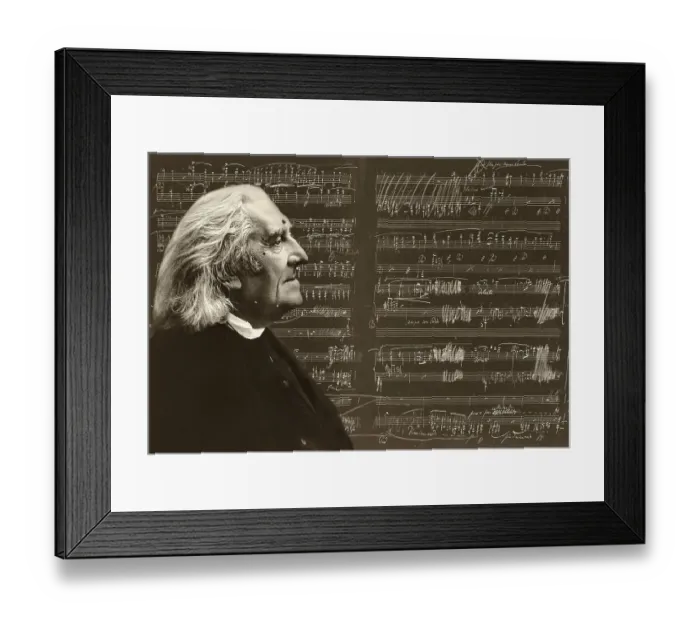 Framed Print : Portrait of Franz Liszt, 1811-1886 Framed Print : Portrait of Franz Liszt, 1811-1886