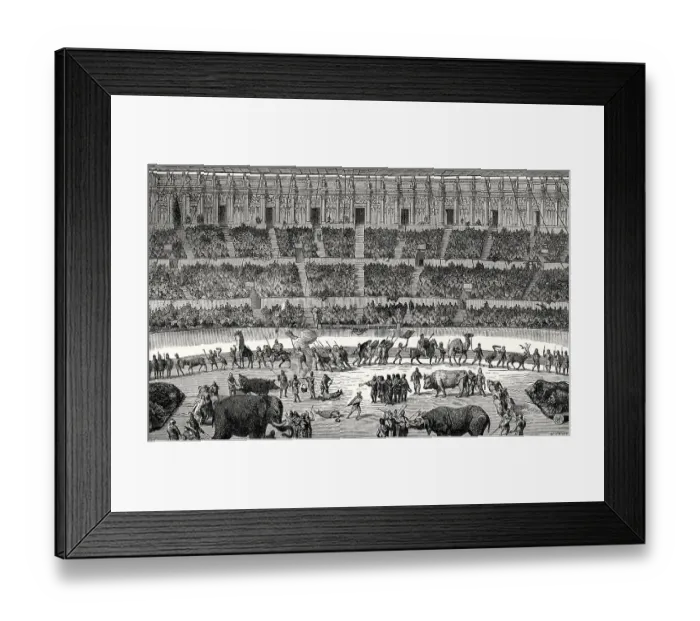 Framed Print : Gladiators fighting animals, reconstruction of the Amphitheatre of Pompeii