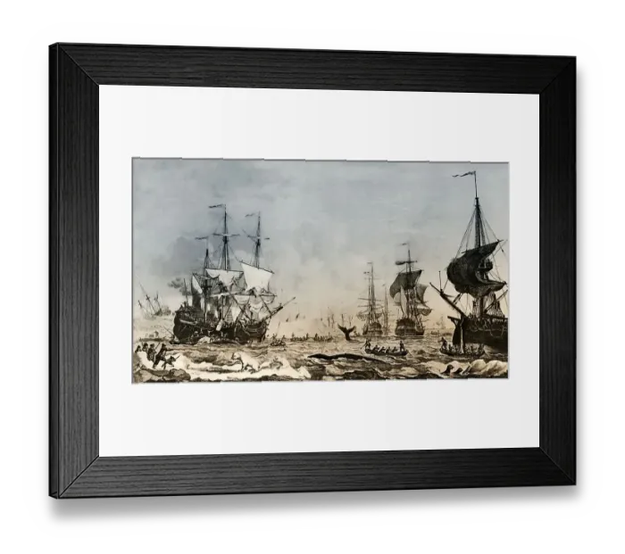 Framed Print : Whaling in the 18th century Framed Print : Whaling in the 18th century