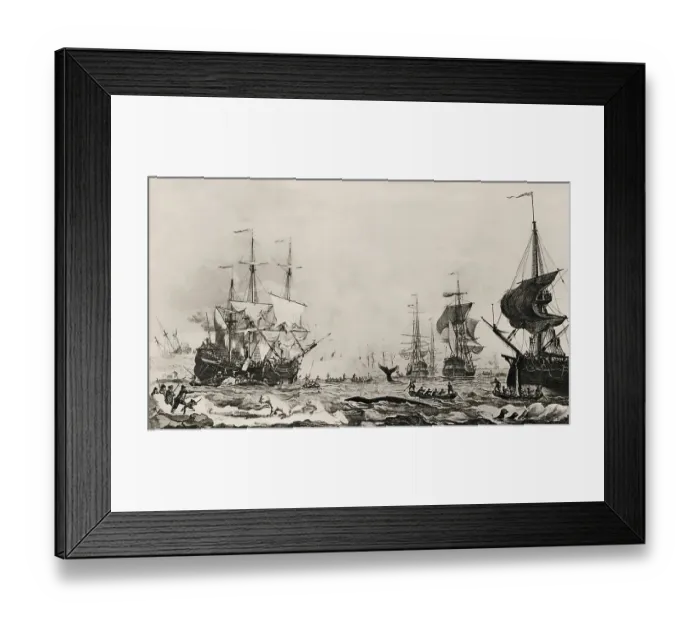 Framed Print : Whaling in the 18th century