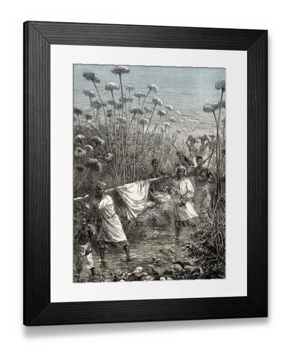 Framed Print : David Livingstone being carried to the village of Tchitammbo