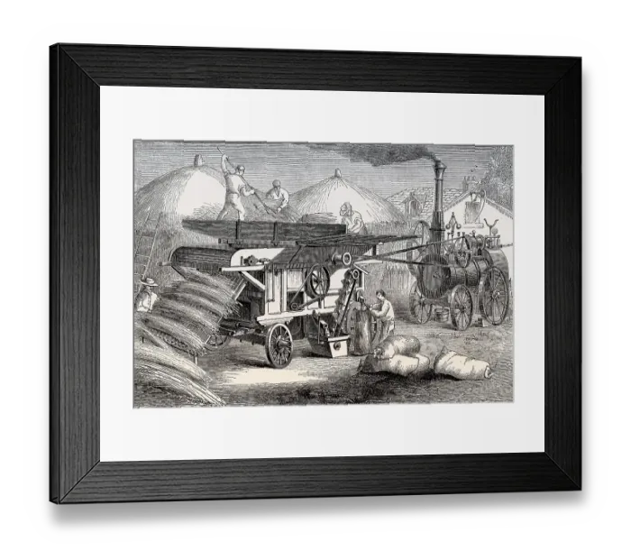 Framed Print : A steam-driven threshing machine, 19th century