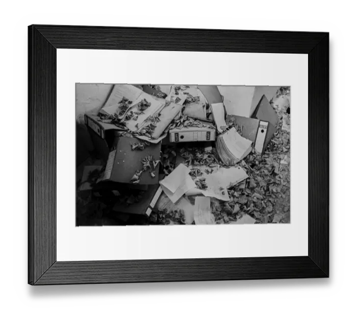 Framed Print : Germany, Berlin, 20 October 1991 Framed Print : Germany, Berlin, 20 October 1991