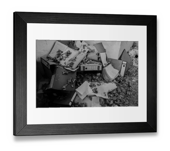 Framed Print : Germany, Berlin, 20 October 1991