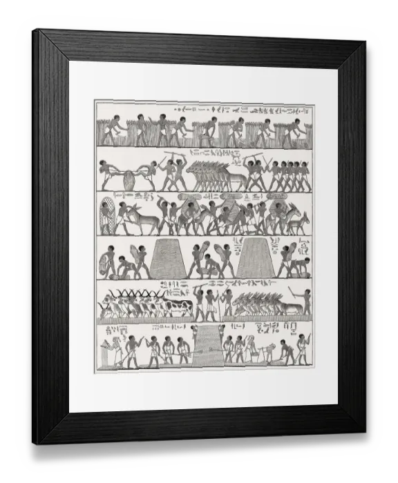 Framed Print : Ancient Egyptian agriculture