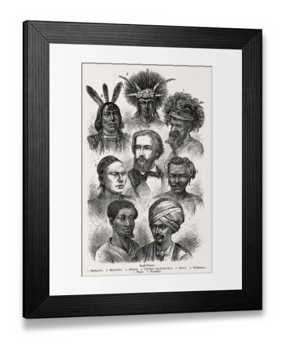 Framed Print : Racial theory, 19th century