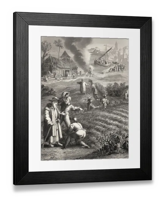 Framed Print : The Parable of the Weeds, New Testament