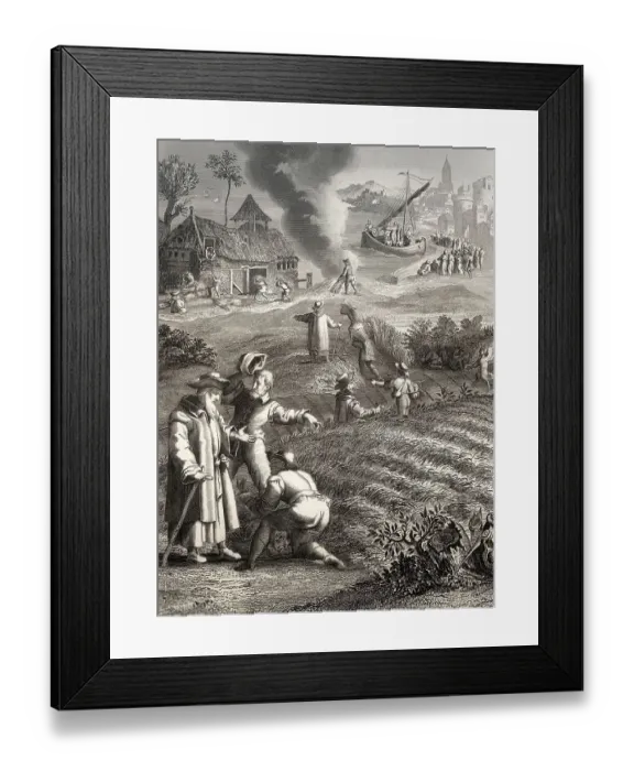 Framed Print : The Parable of the Weeds, New Testament