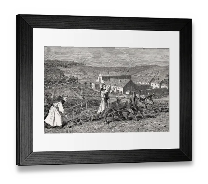 Framed Print : Cistercian monks at the farm work Framed Print : Cistercian monks at the farm work