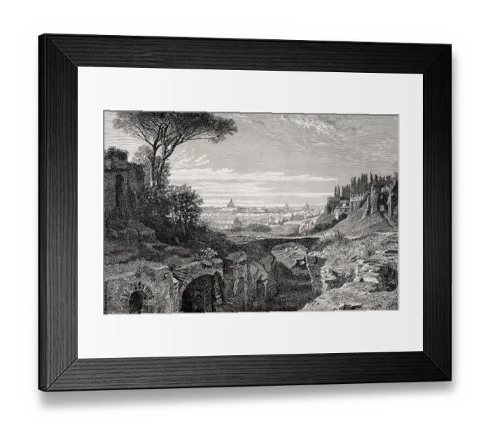 Framed Print : The view from the Palatine Hill