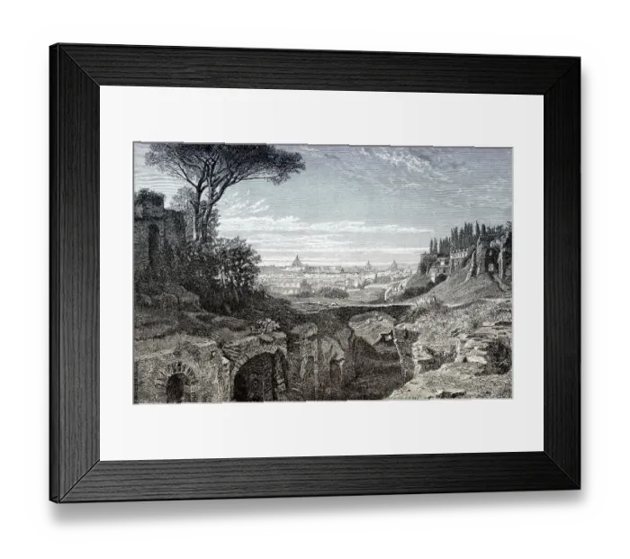 Framed Print : The view from the Palatine Hill