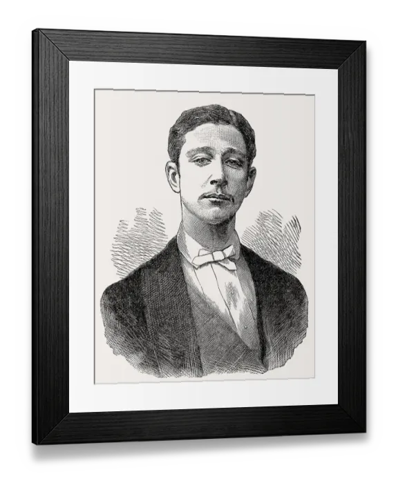 Framed Print : Napoleon, Prince Imperial, 1856 -1879