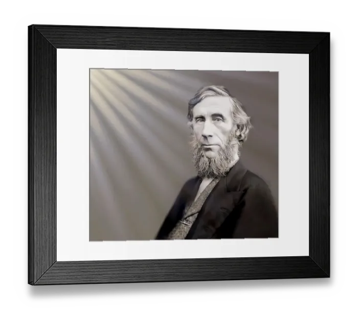 Framed Print : John Tyndall, 1820 -1893, Irish physicist and chemist