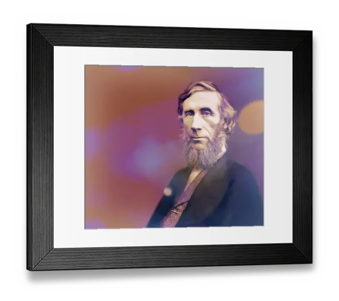 Framed Print : John Tyndall, 1820 -1893, Irish physicist and chemist