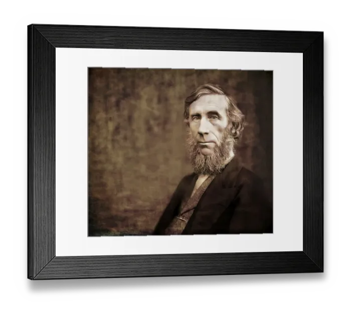 Framed Print : John Tyndall, 1820 -1893, Irish physicist and chemist Framed Print : John Tyndall, 1820 -1893, Irish physicist and chemist