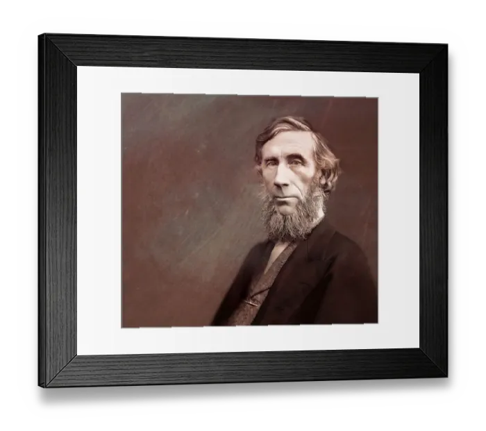 Framed Print : John Tyndall, 1820 -1893, Irish physicist and chemist Framed Print : John Tyndall, 1820 -1893, Irish physicist and chemist