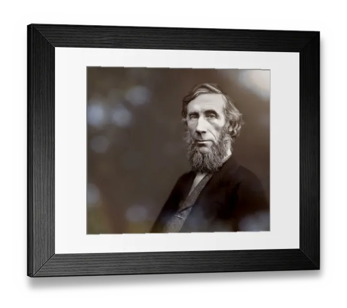 Framed Print : John Tyndall, 1820 -1893, Irish physicist and chemist