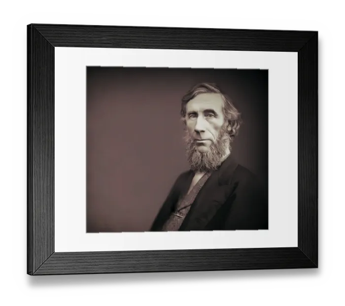 Framed Print : John Tyndall, 1820 -1893, Irish physicist and chemist