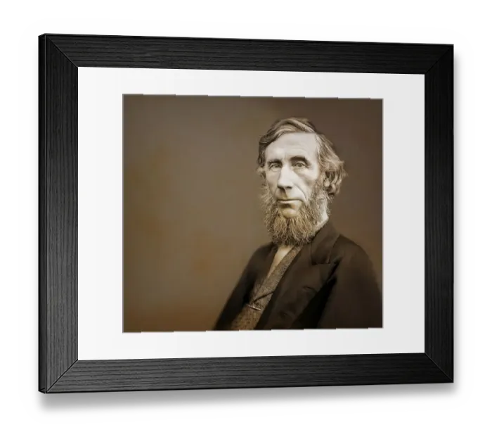 Framed Print : John Tyndall, 1820 -1893, Irish physicist and chemist