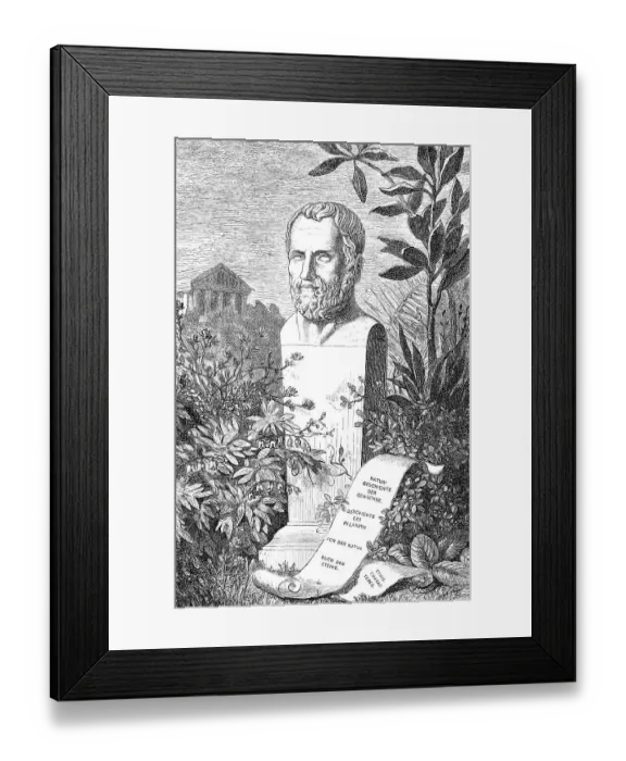 Framed Print : Theophrastus or Theophrastos, c