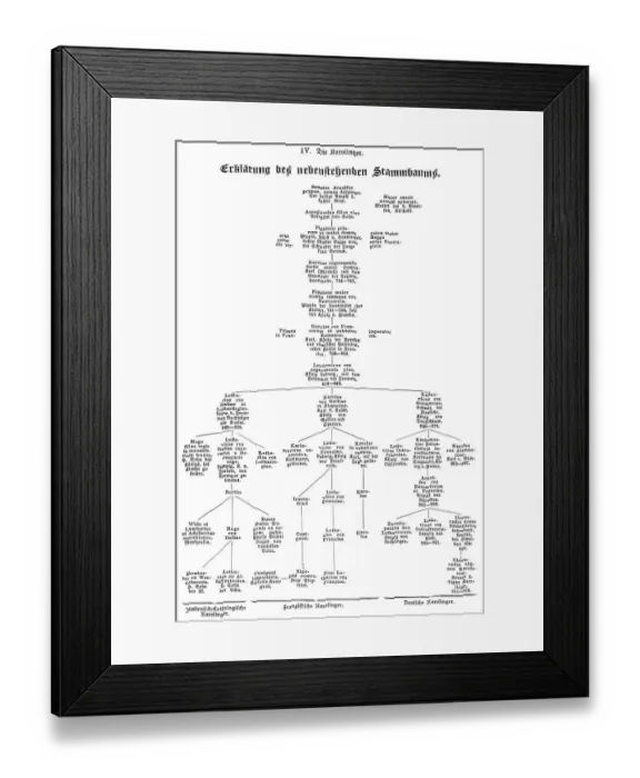 Framed Print : Genealogical family tree of the Carolingian dynasty Framed Print : Genealogical family tree of the Carolingian dynasty