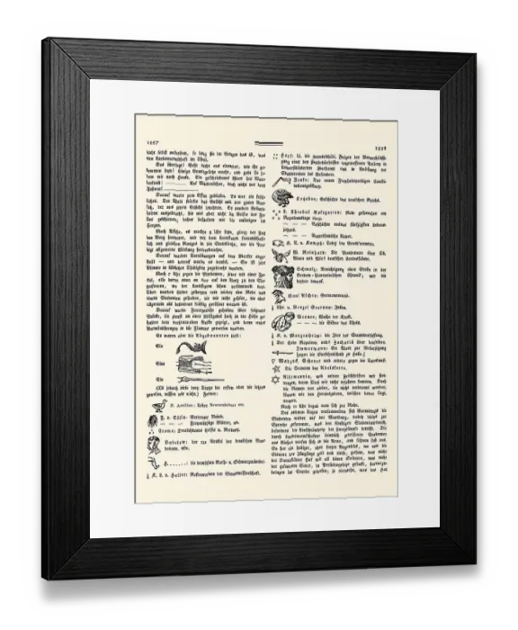 Framed Print : Number 195 of the German journal Isis with a list of the burnt things