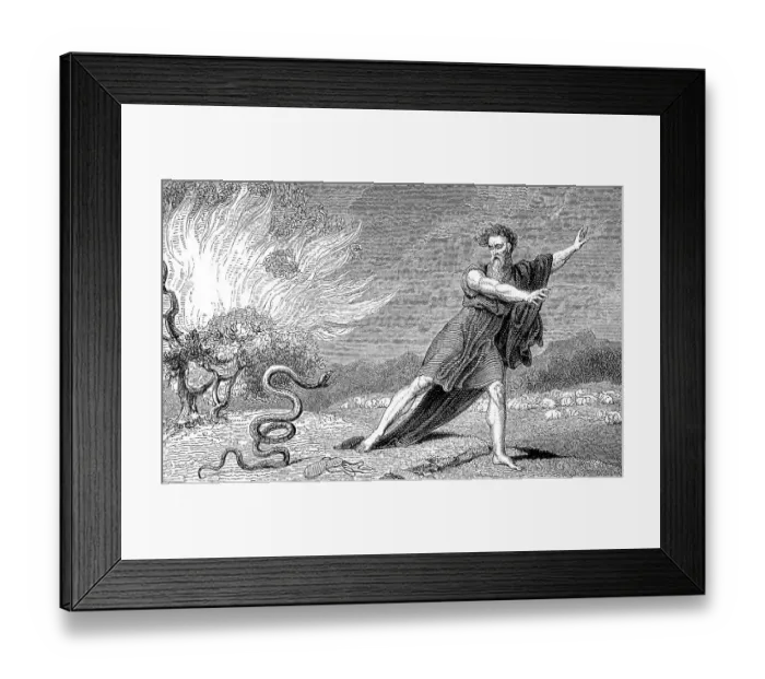 Framed Print : The rod becomes a serpent, Moses Framed Print : The rod becomes a serpent, Moses