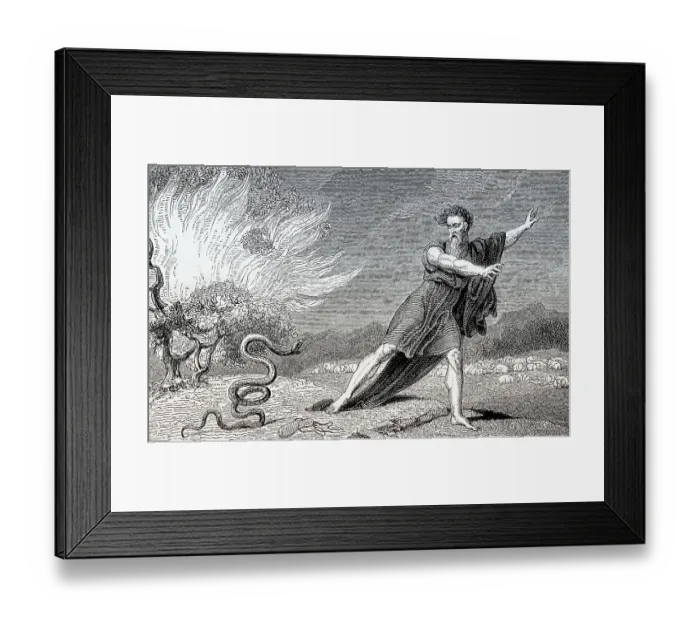 Framed Print : The rod becomes a serpent, Moses