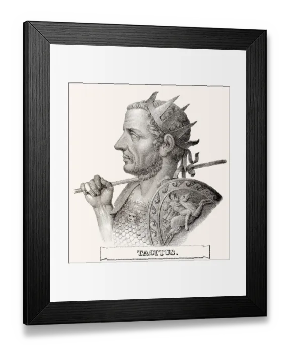 Framed Print : Tacitus, roemischer Kaiser von 275 bis 276 Framed Print : Tacitus, roemischer Kaiser von 275 bis 276