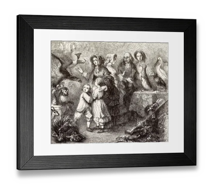 Framed Print : Biologiestunde mit Kindern, 19. Jahrhundert Framed Print : Biologiestunde mit Kindern, 19. Jahrhundert
