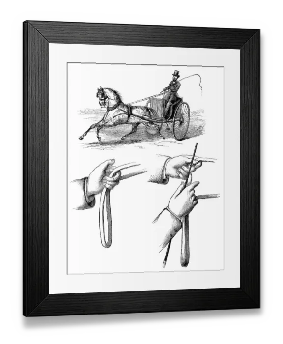 Framed Print : Methoden zur Fuehrung von Pferden durch Ziehen an den Zuegeln