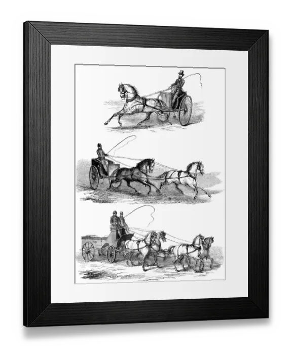 Framed Print : Methoden zur Fuehrung von Pferden durch Ziehen an den Zuegeln Framed Print : Methoden zur Fuehrung von Pferden durch Ziehen an den Zuegeln