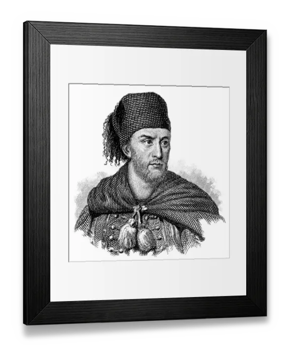 Framed Print : Ibrahim Pasha al Wali, 1789 - 1848