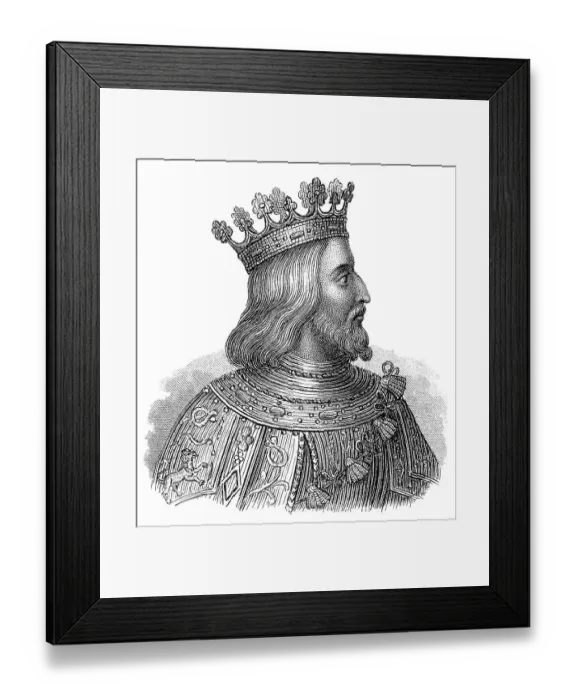 Framed Print : Ferdinand II, 1452 - 1516, called the Catholic