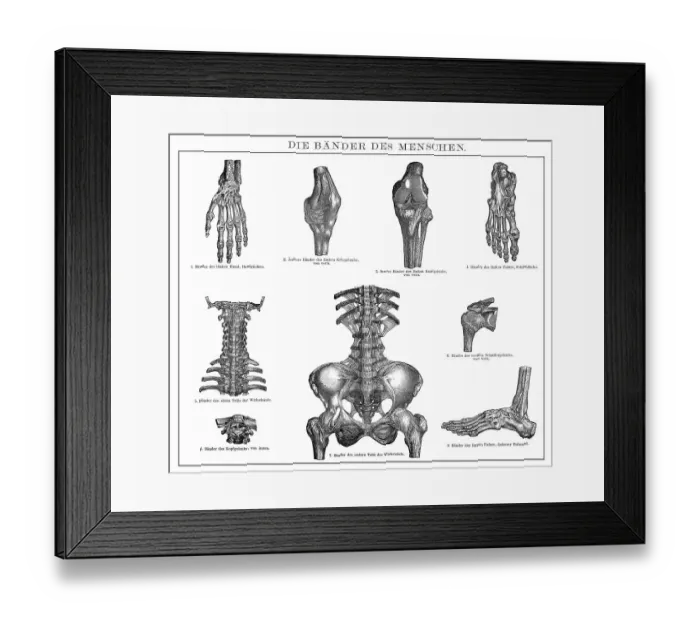 Framed Print : Historic illustration, 19th century