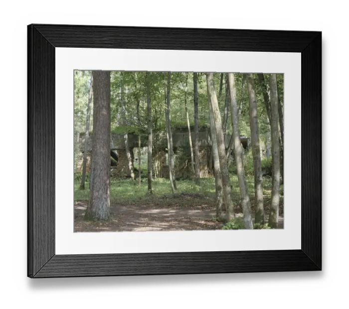 Framed Print : Ruins of the Wolf's Lair (also Wolf's Lair or Goerlitz) Framed Print : Ruins of the Wolf's Lair (also Wolf's Lair or Goerlitz)