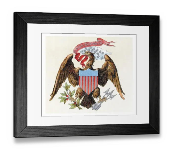 Framed Print : Coat of arms of the United States of North America Framed Print : Coat of arms of the United States of North America