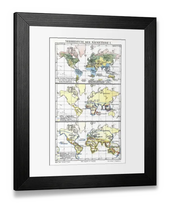 Framed Print : Map, occurrence of mammals I, historic image
