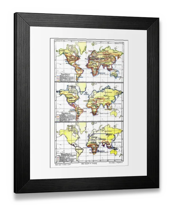 Framed Print : Map, occurrence of mammals II, historic image Framed Print : Map, occurrence of mammals II, historic image