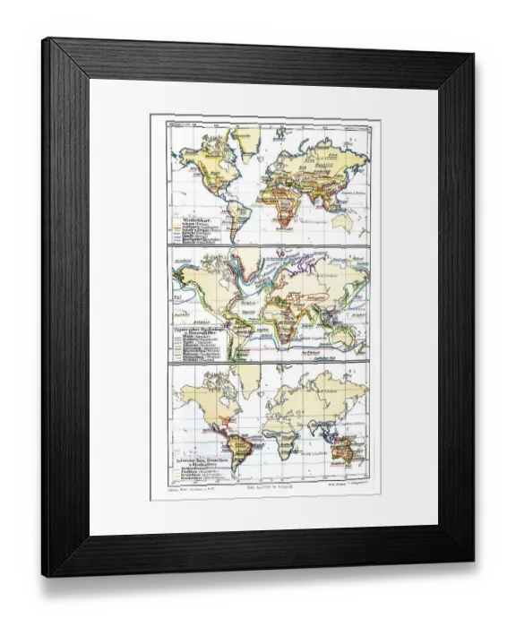 Framed Print : Map, occurrence of mammals, historic image