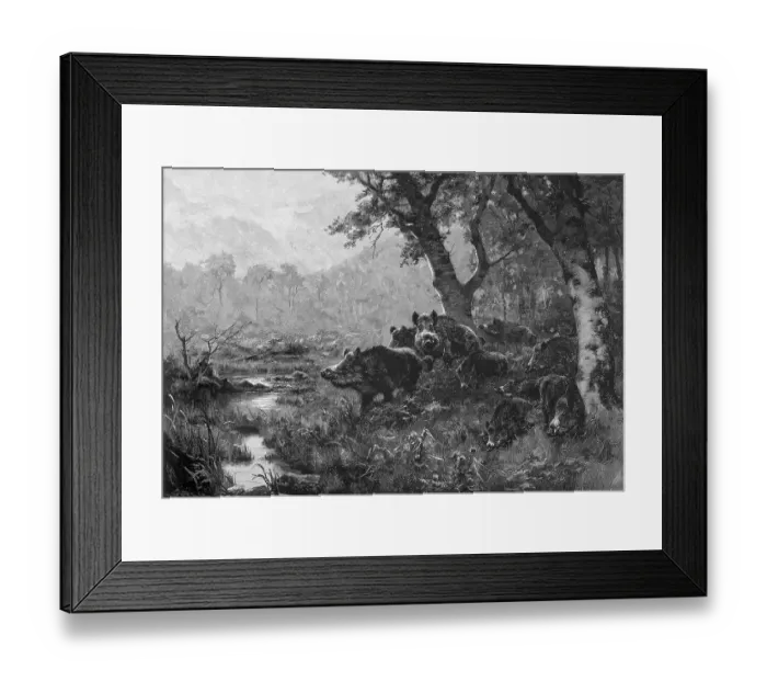 Framed Print : Wild boars at the waterhole, illustration from the Moderne Kunst in Meisterholzschnitten yearbook