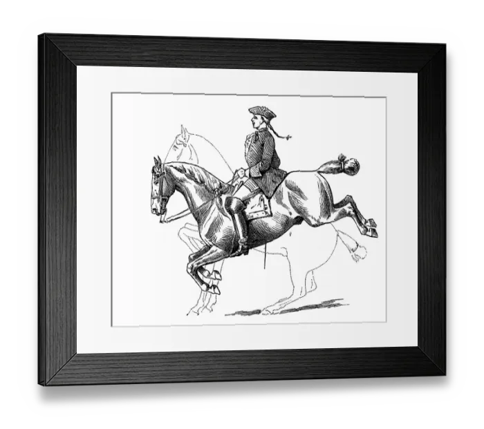 Framed Print : Capriole, the first position of the horse to jump and getting back on its feet