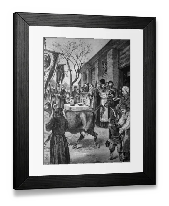 Framed Print : Blessing of cows on St. George's Day in Russia