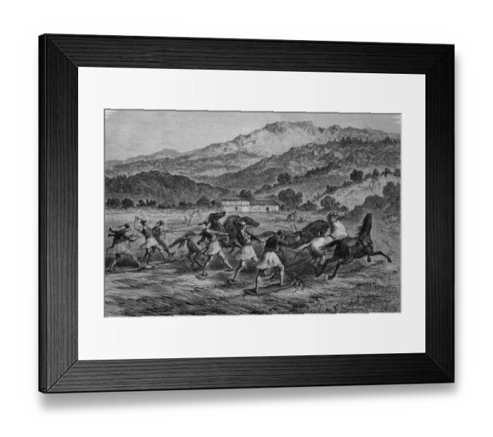 Framed Print : Thrashing of crop in Greece, historical illustration